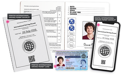 International Driving License